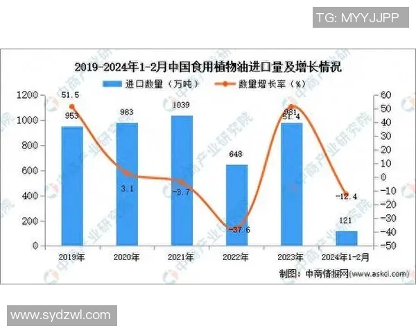 喀麦隆与智利比赛结果分析及数据统计详解
